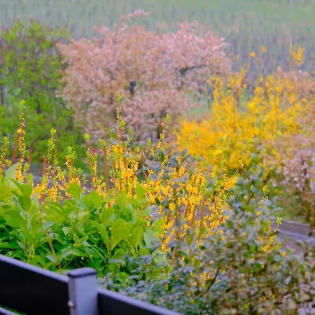 Apartamento Ferienweingut Wissing Theo Gleiszellen-Gleishorbach