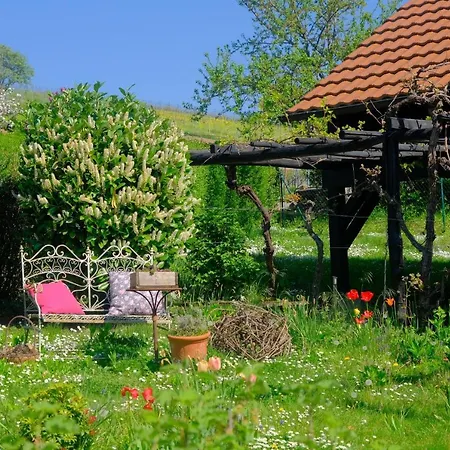 Ferienweingut Wissing Theo