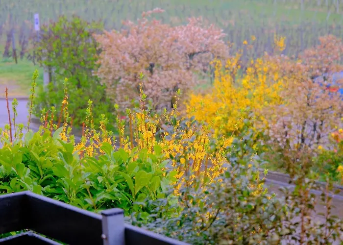 Apartamento Ferienweingut Wissing Theo Gleiszellen-Gleishorbach