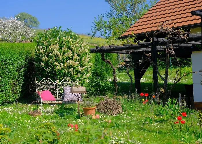 Ferienweingut Wissing Theo